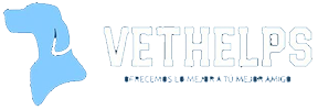 Veterinarios a Domicilio